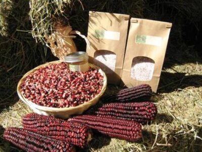 All About ‘Bloody Butcher’ Corn, Part 3: Storing, Packaging, and Selling (with Recipes) Image